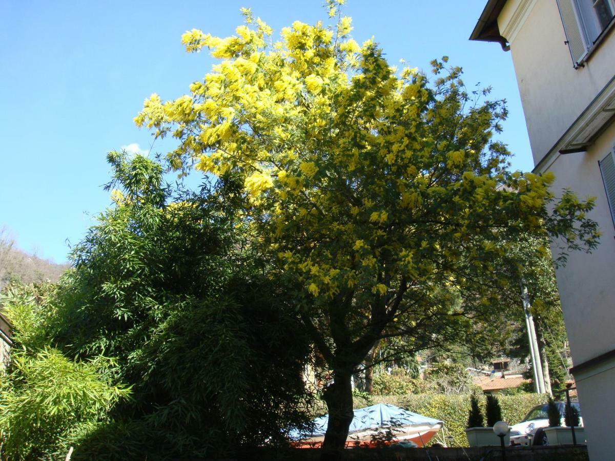 Appartement Cardano Close To Every Destination Maccagno